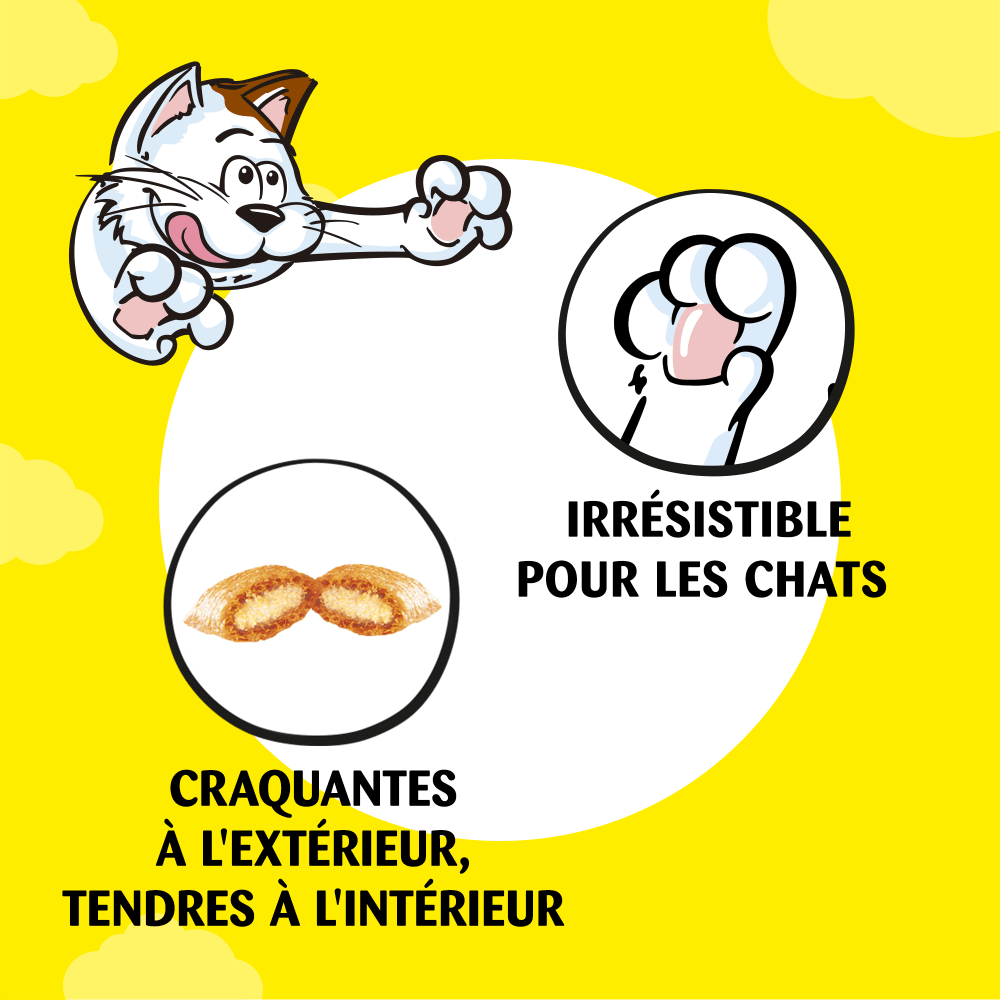 Friandise poulet cremeuse pour chat Catisfactions x4 - 10g