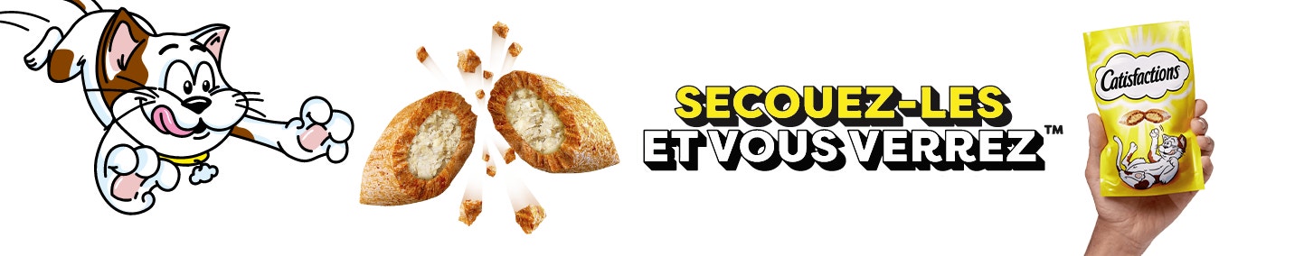 Pourquoi CATISFACTIONS ?