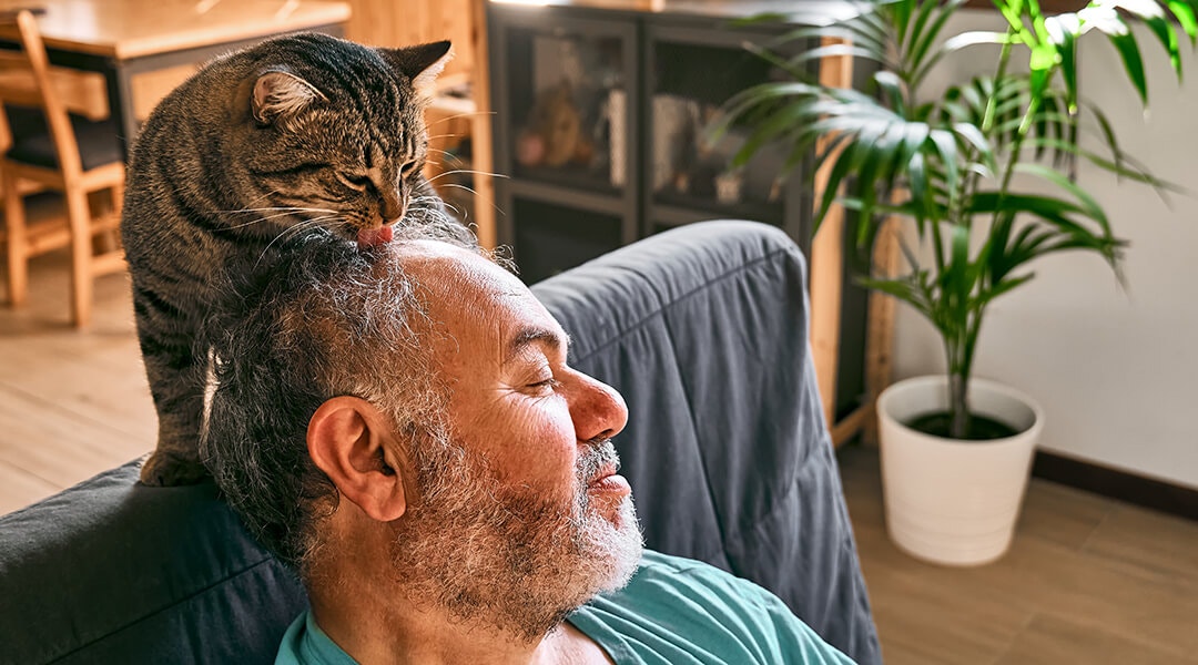 Un homme âgé se détend sur une chaise tandis qu'un chat tigré lui lèche la tête dans un salon confortable.
