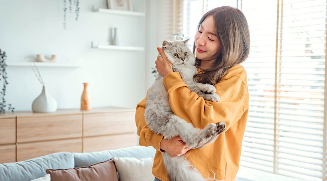 Une jeune femme portant un pull jaune tient un chat gris duveteux dans ses bras à l'intérieur d'un salon confortable.