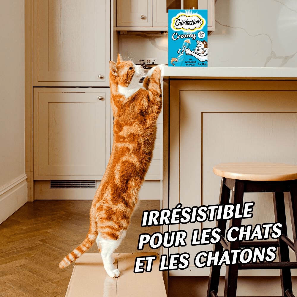  - Click to zoom in on the image