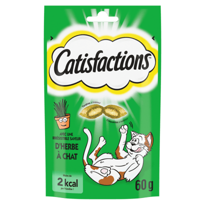 CATISFACTIONS™ Friandises saveur herbe à chat pour chat et chaton 60g