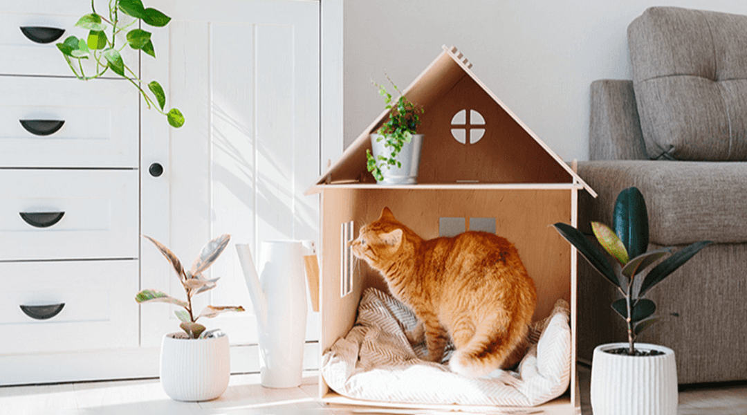 Maison pour chat à faire soi-même : des idées à moindre coût pour