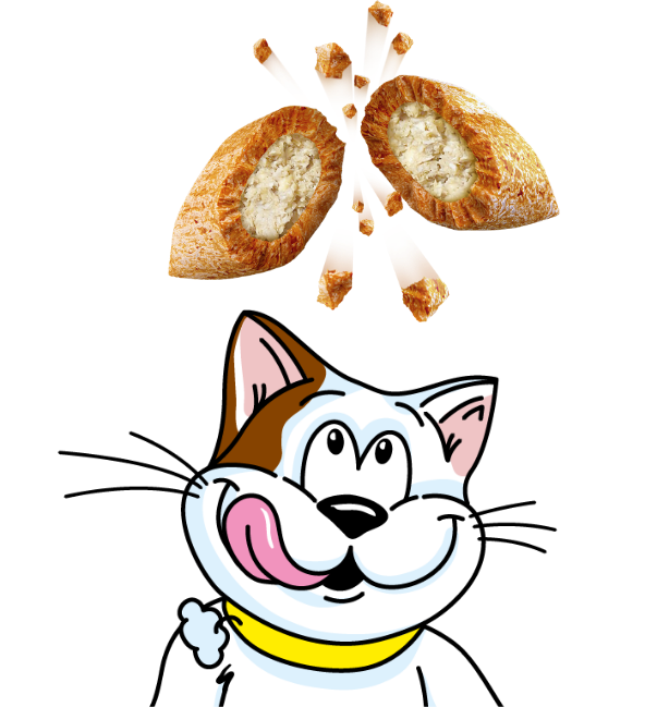 Irresistible for Cats and Kittens