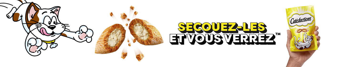 Pourquoi CATISFACTIONS ?