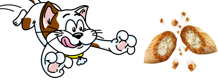 catisfactions chat