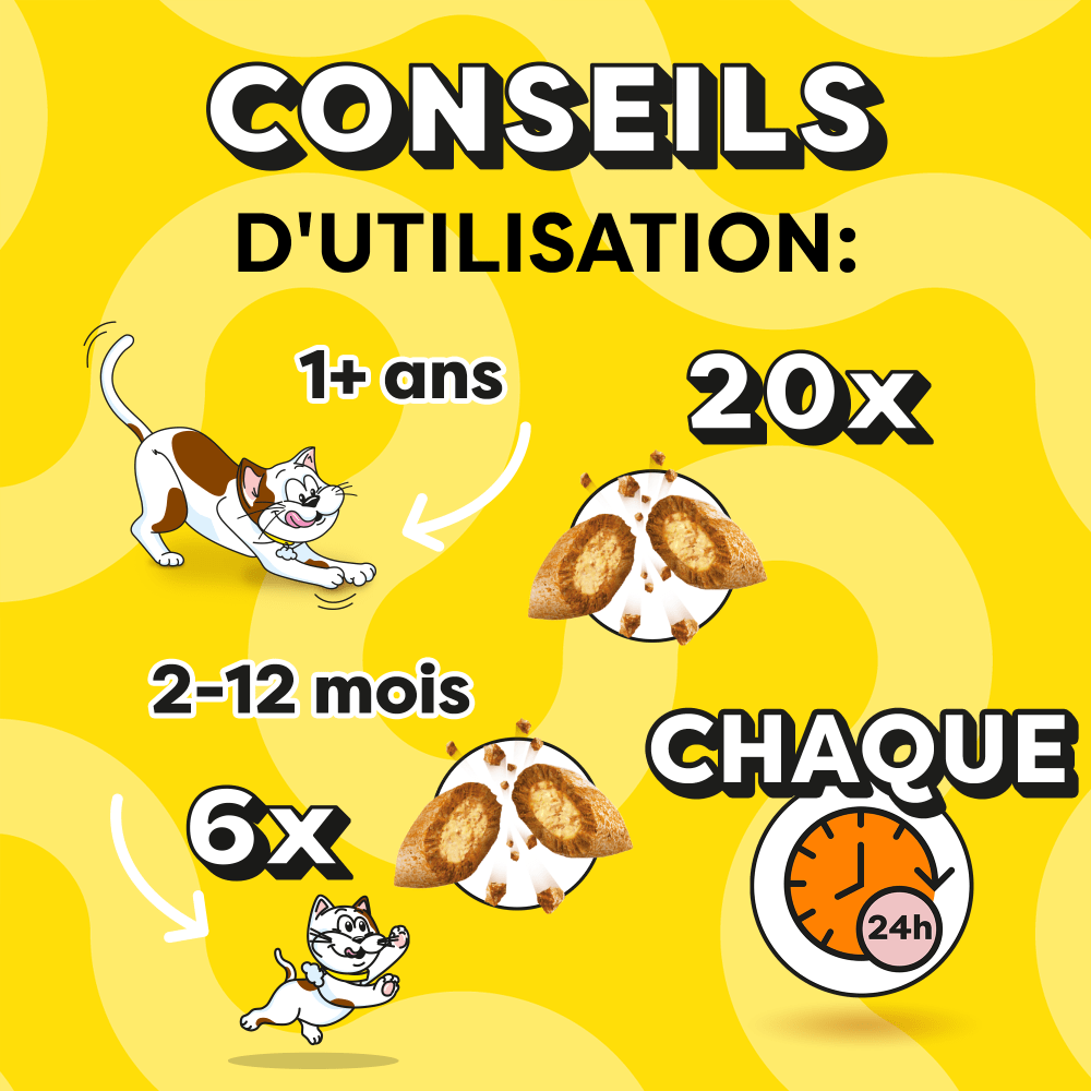 - Click to zoom in on the image