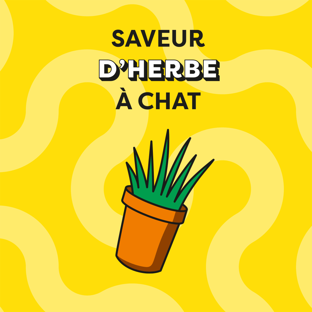 - Click to zoom in on the image